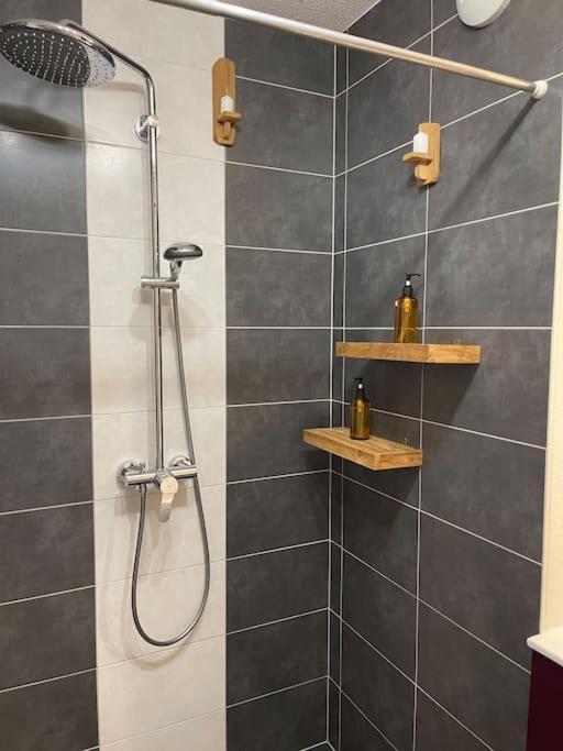 Appartement - Note Boisee - Terrasse & Parking 셀레스탓 외부 사진